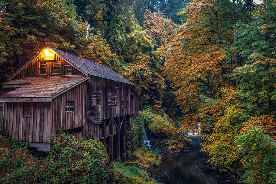 Autumn Mill Woodland Stream Wallpaper