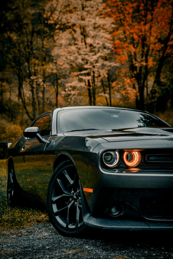 Autumn Muscle Car Showcase Wallpaper