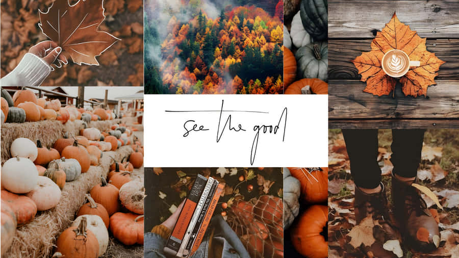 Autumn Pumpkin Harvest Wallpaper