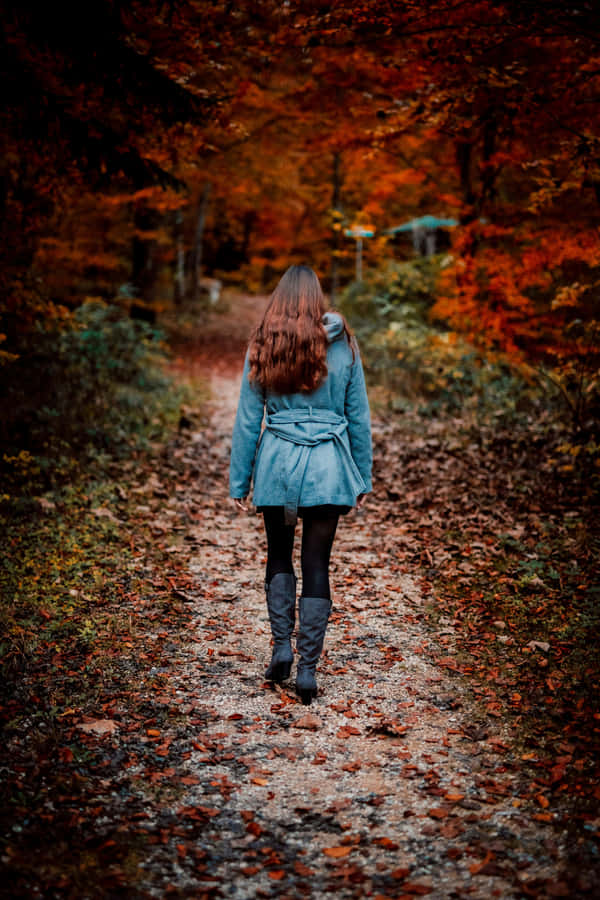 Autumn Strollin Forest.jpg Wallpaper