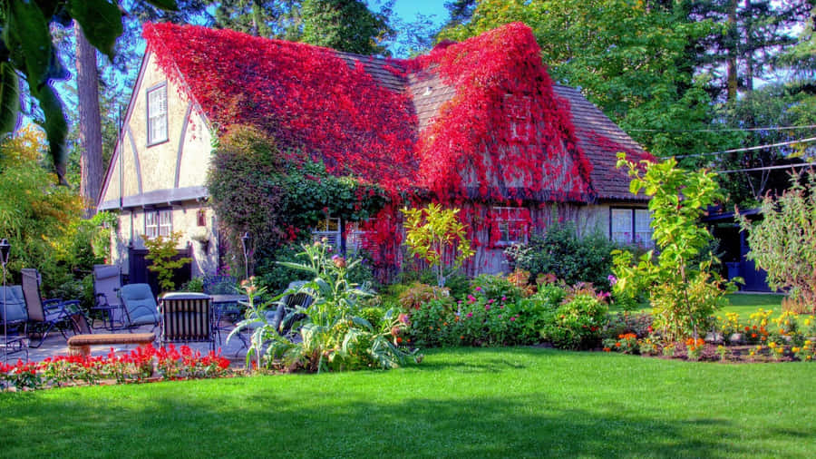 Autumnal Cottage Garden Beauty Wallpaper