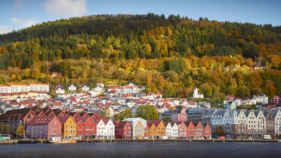 Autumnin Bryggen Bergen Norway Wallpaper