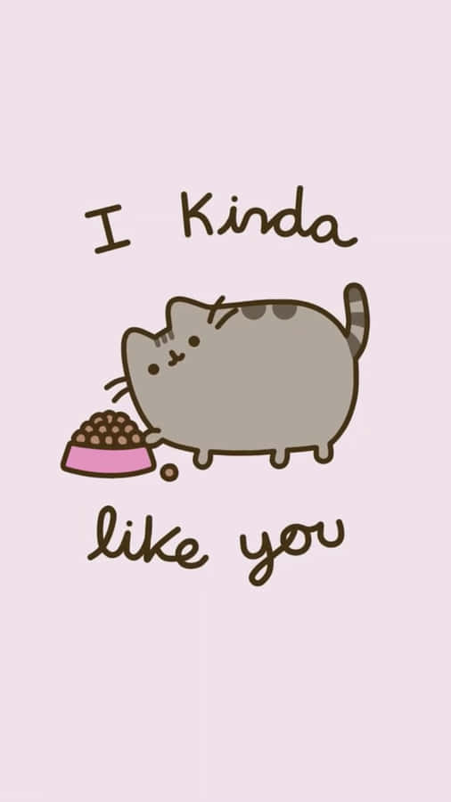 Aww, The Ever So Cute Kawaii Pusheen!