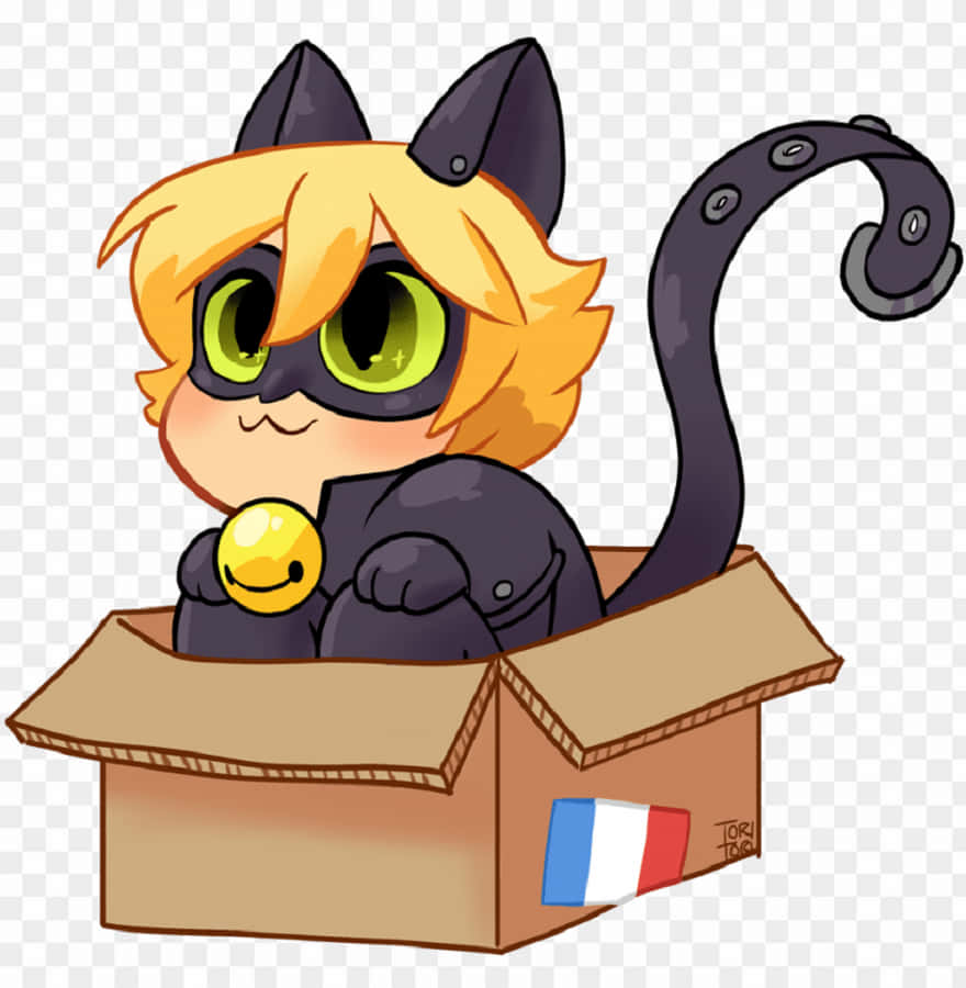 Baby Adrien Agreste Cute Cat Noir Wallpaper