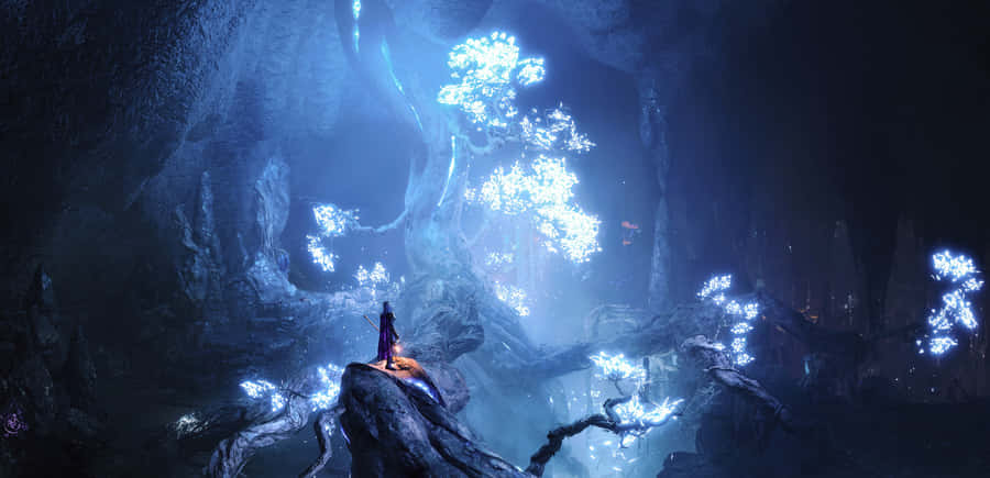 Baldurs Gate3 Underdark Glowing Forest Wallpaper