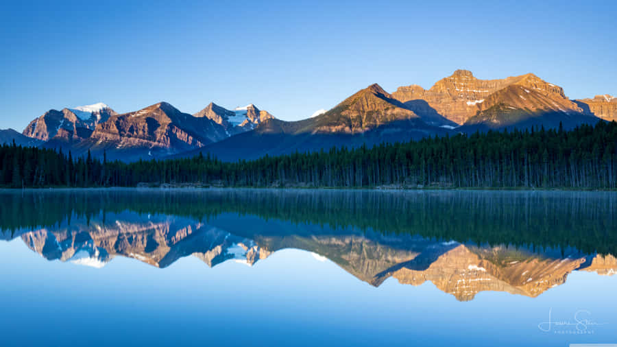 Banff National Park River Forest Mountains Wallpaper