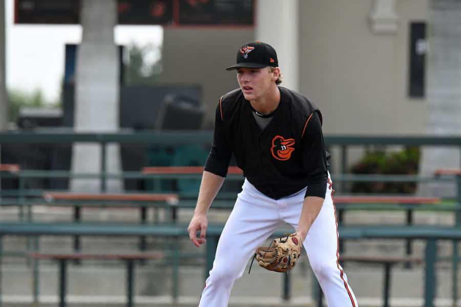 Baseball Infield Ready Pose Wallpaper