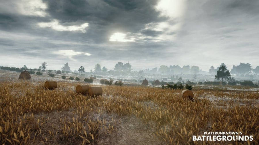 Battlefield Pubg Banner Wallpaper