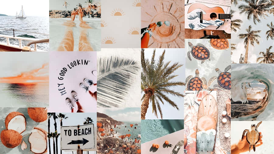 Beach Coconut Girl Aesthetic Wallpaper