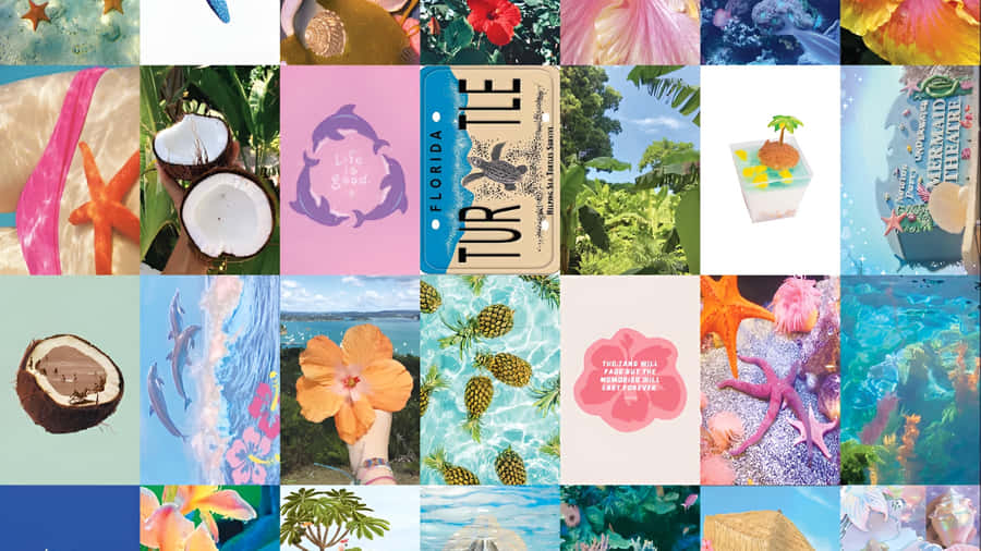 Beach Coconut Girl Aesthetic Wallpaper