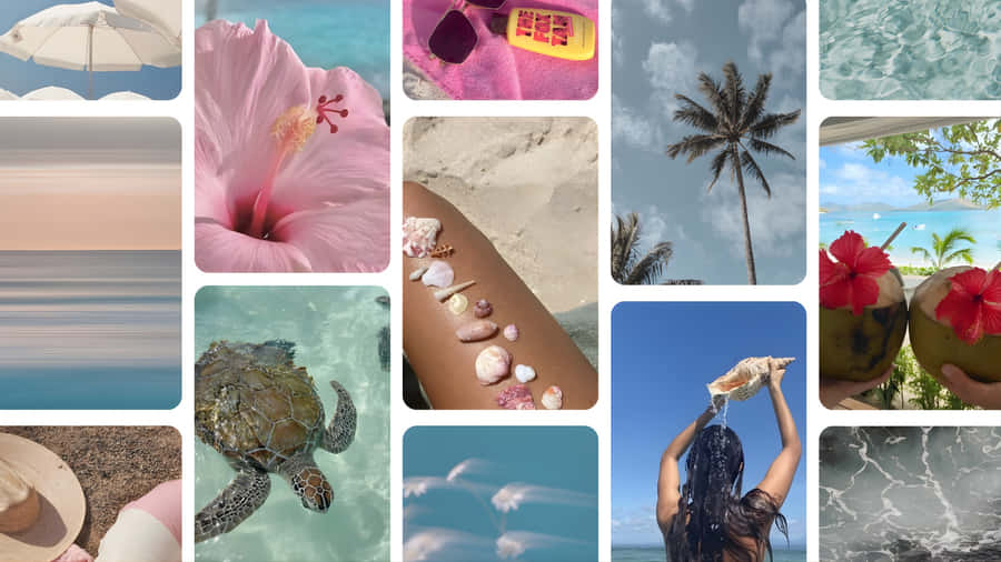 Beach Coconut Girl Aesthetic Wallpaper