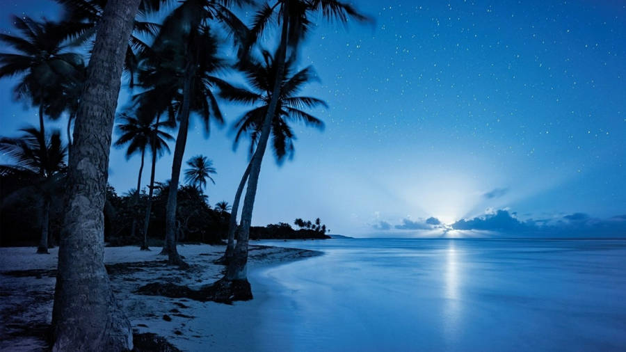 Beach Night Rising Moon Wallpaper