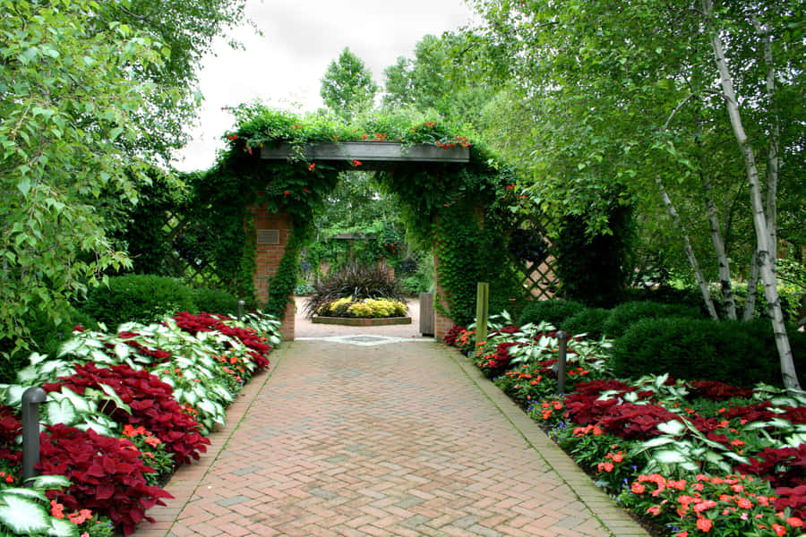 Beautiful And Serene Garden Landscape Wallpaper