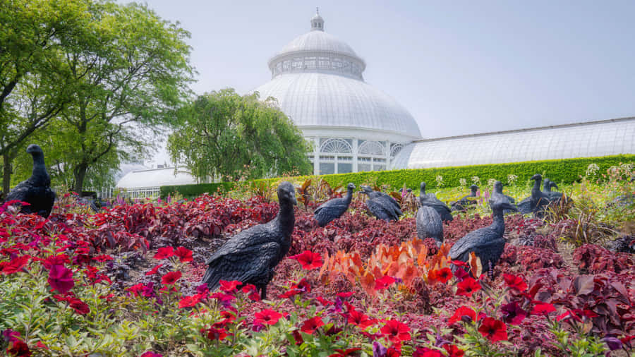 Beautiful And Vibrant Botanical Garden In Full Bloom Wallpaper