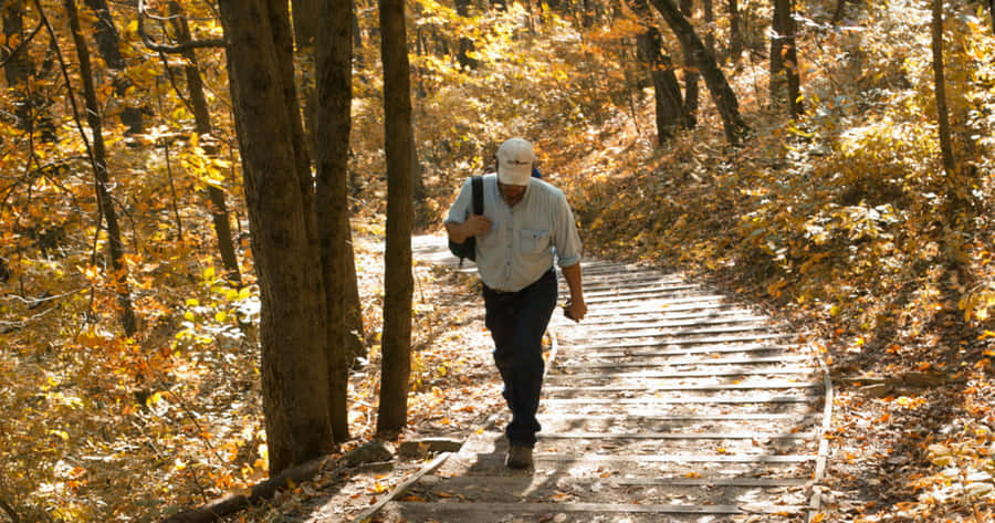 Beautiful Autumn Hiking Trail Wallpaper