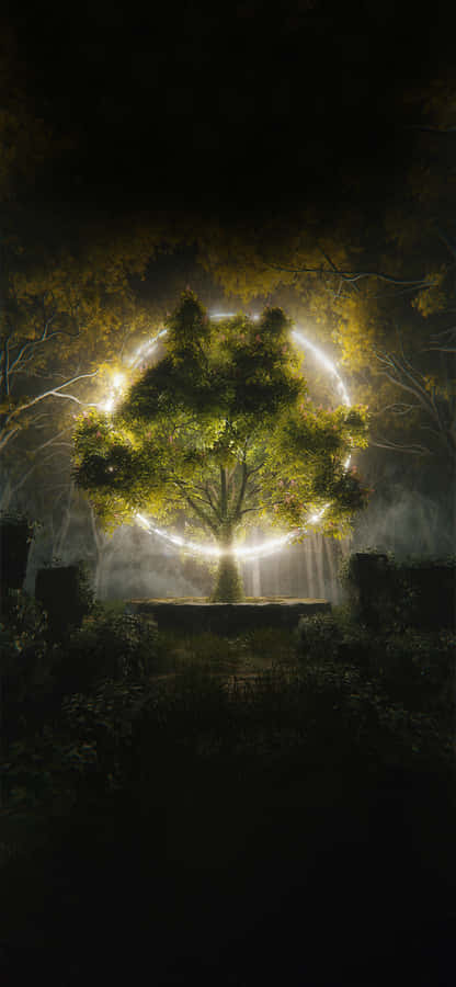 Beautiful Beachscape Iphone Wallpaper Wallpaper