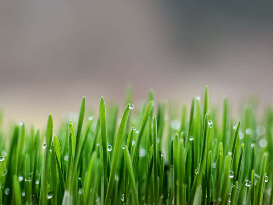 Beautiful Blue Sky Wallpaper