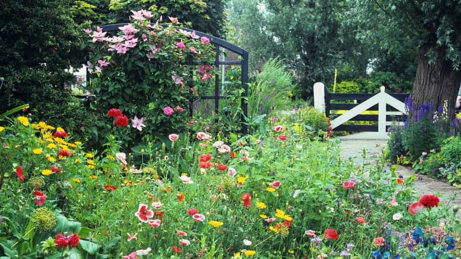 Beautiful Cottage Garden In Full Bloom Wallpaper