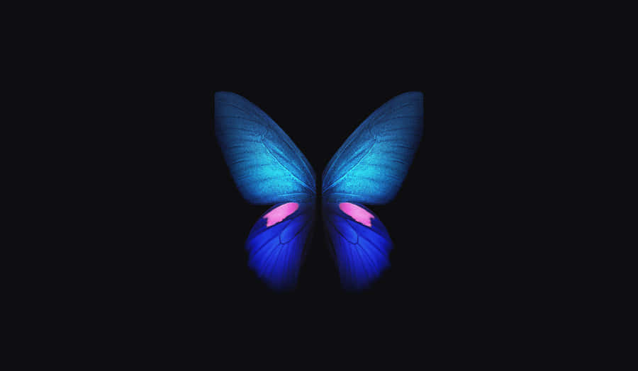 Beautiful Dark Butterfly On A Mysterious Floral Background Wallpaper