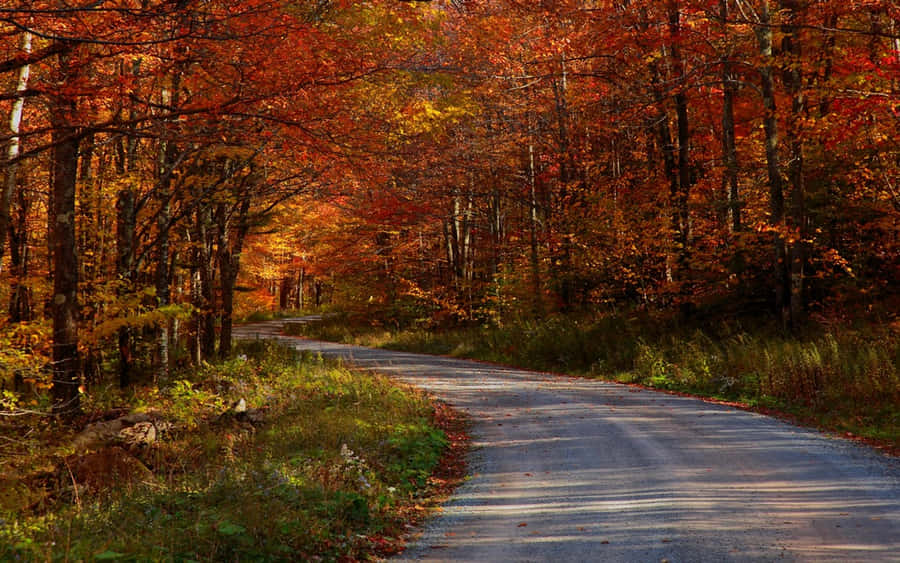 Beautiful Fall Country Landscape Wallpaper