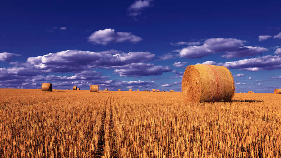 Beautiful Fall Harvest Scene Wallpaper