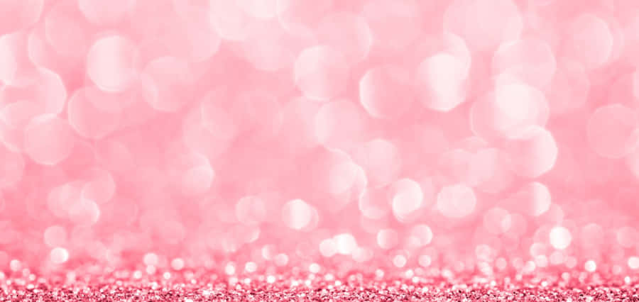 Beautiful Forest During Sunset Wallpaper