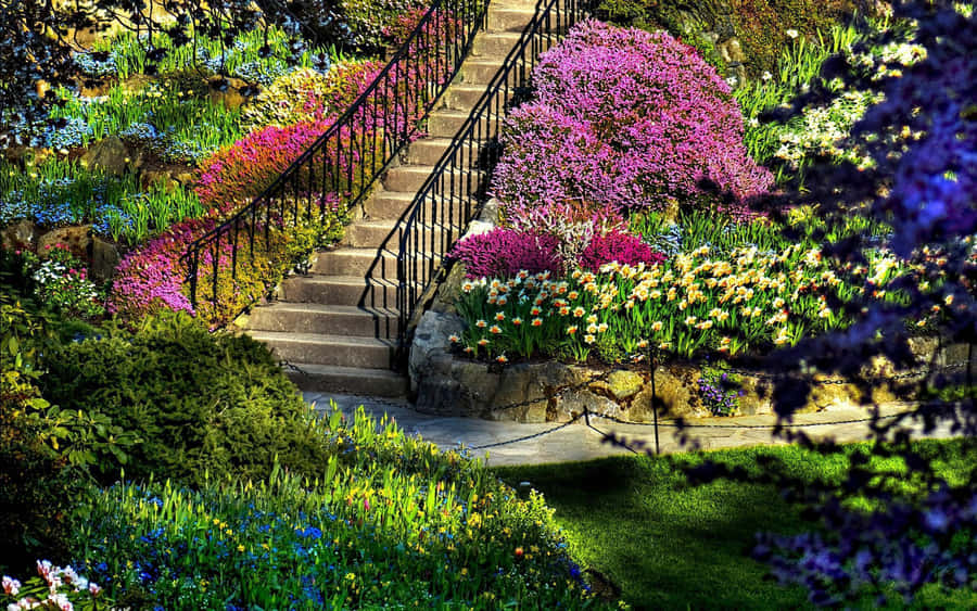 Beautiful Garden With Vibrant Colors Wallpaper