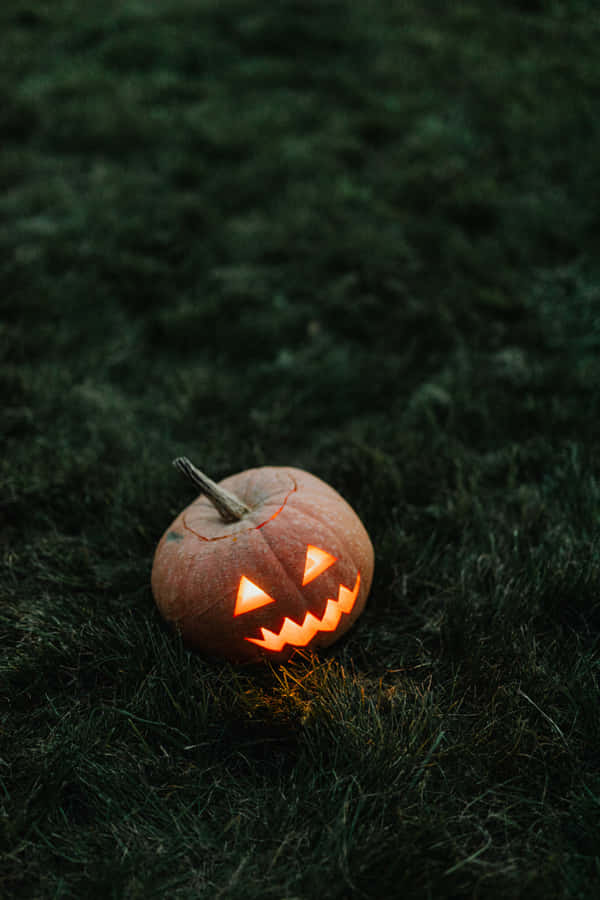 Beautiful Halloween Pumpkin On Grass Wallpaper
