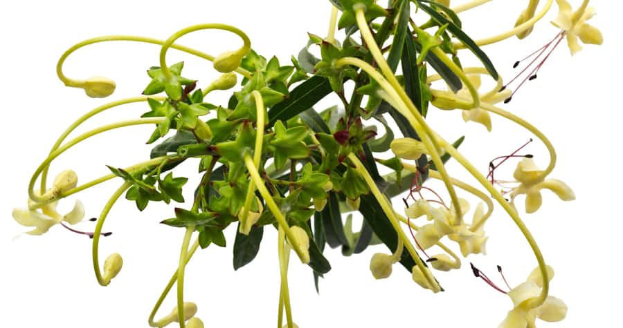 Beautiful Landscape Overlooking The Valley Wallpaper