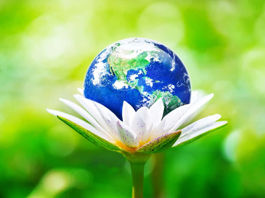 Beautiful Mountain Campsite Wallpaper