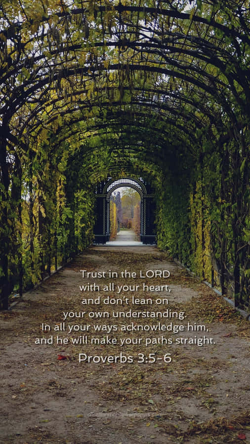 Beautiful Proverbial Passage Wallpaper