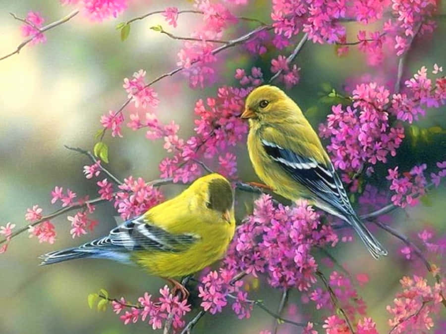 Beautiful Spring Birds Chirping On Blossoming Trees Wallpaper