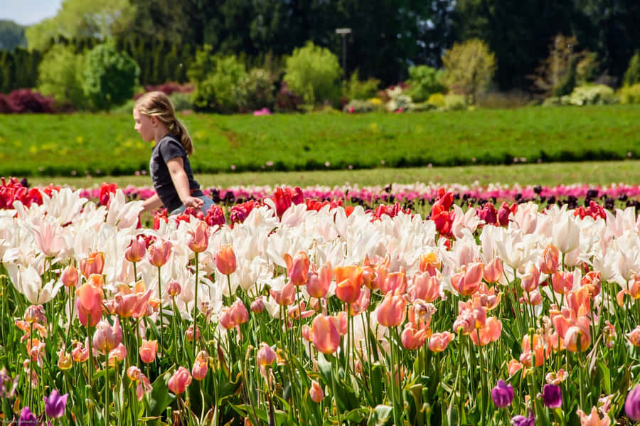 Beautiful Spring Outdoors Landscape Wallpaper