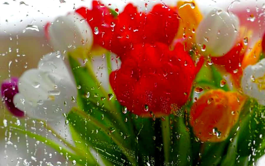 Beautiful Spring Rain Shower Wallpaper