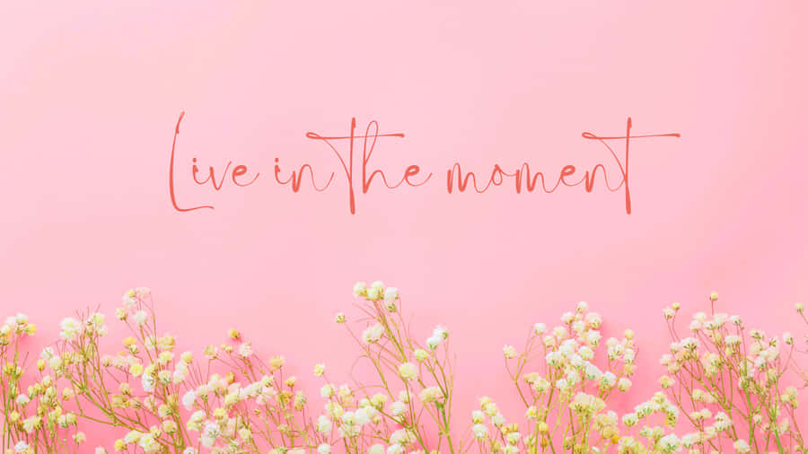 Beautiful Sunset Over A Lake. Wallpaper