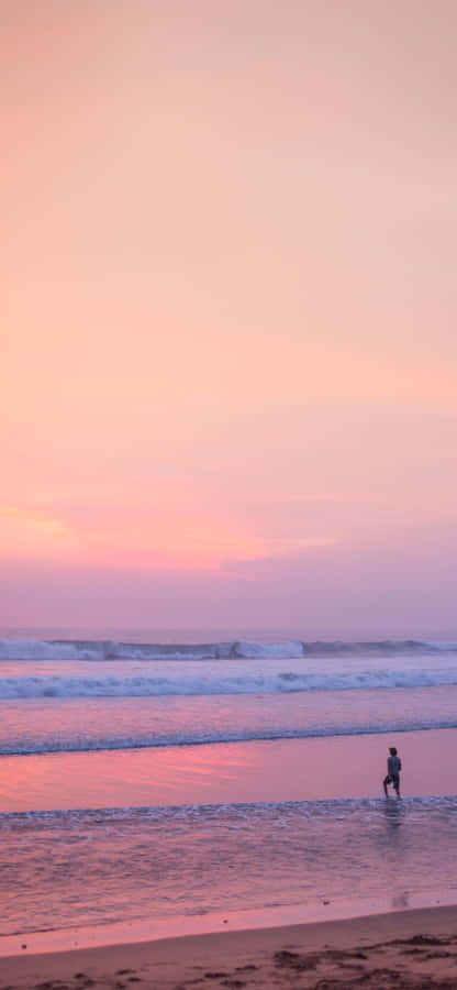 Beautiful Sunset Over An Exotic Tree Line Wallpaper