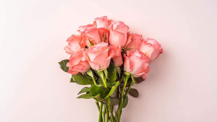 Beautiful Sunset Over The Ocean Wallpaper