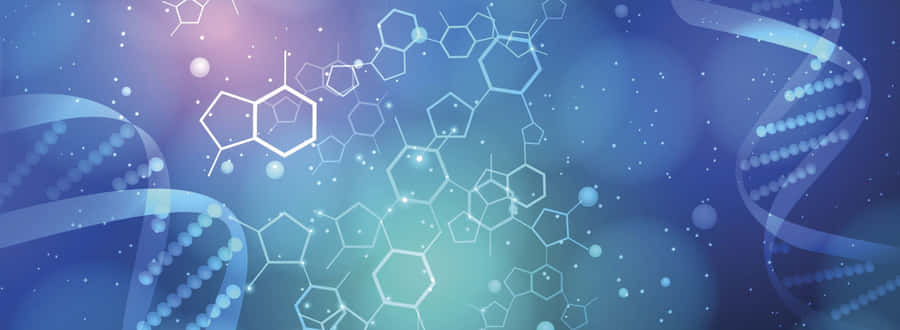 Beautiful Tropical Beach In The Caribbean Wallpaper