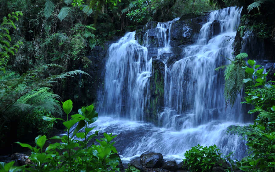 Beautiful Waterfalls Amazing Mother Nature Wallpaper
