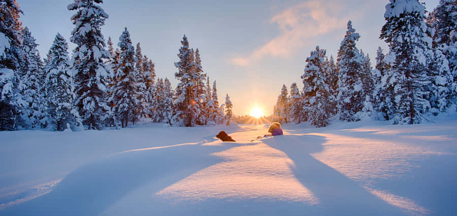Beautiful Winter Landscape At Sunrise Wallpaper