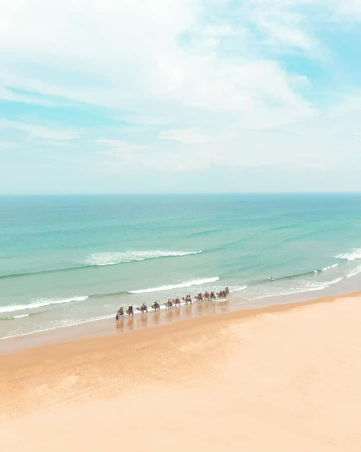 Beige Beach Horseback Riders Wallpaper