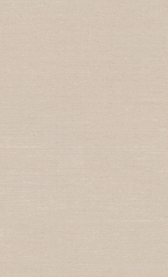 Beige Minimalist Hue For Design Wallpaper