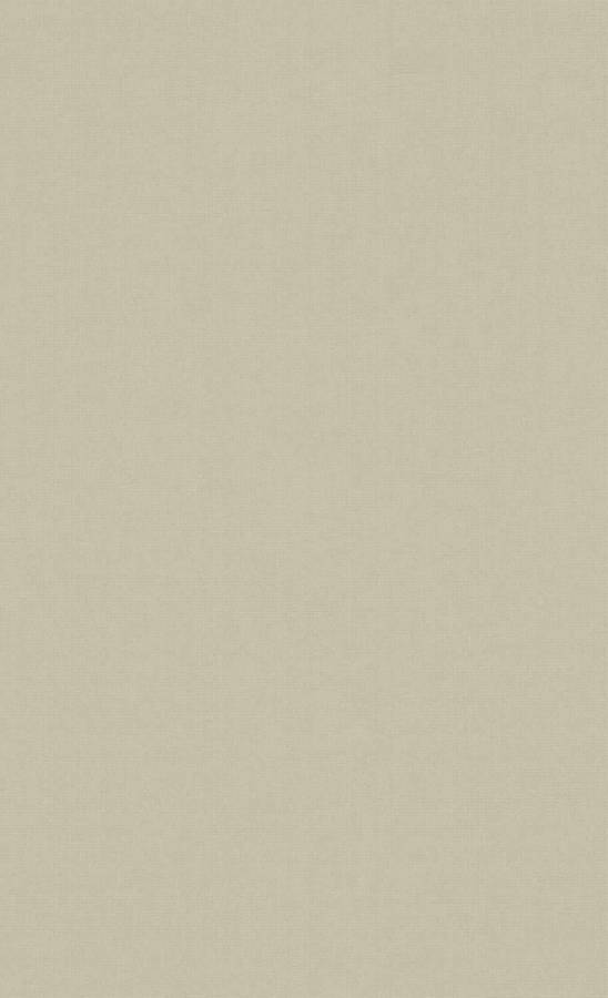 Beige Minimalist Hue Wallpaper