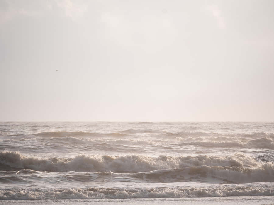 Beige Vanilla Beachscape Wallpaper