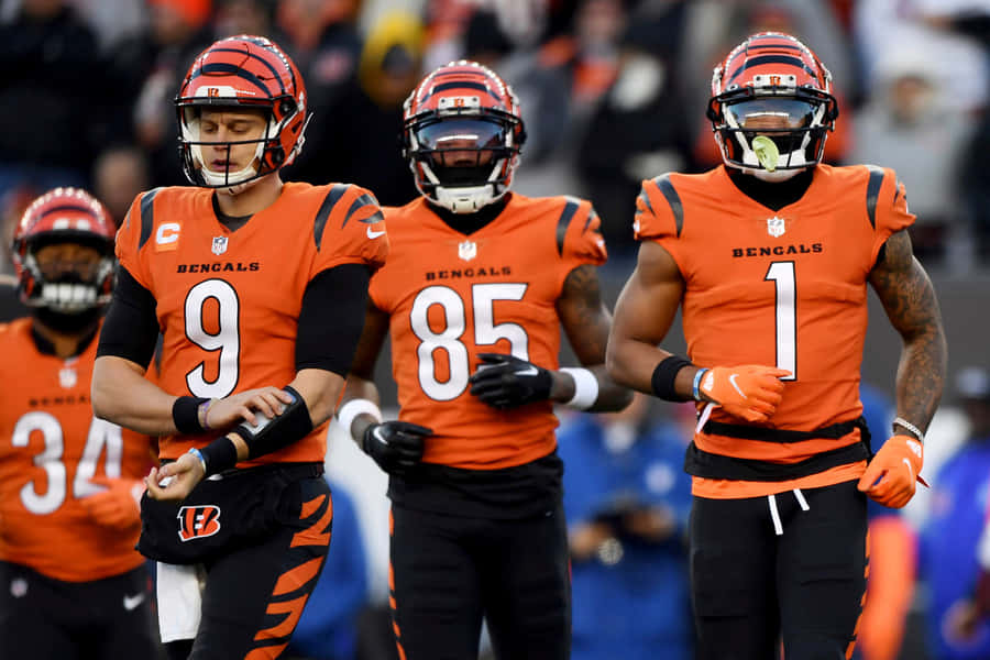 Bengals_ Players_ Preparing_ For_ Play Wallpaper