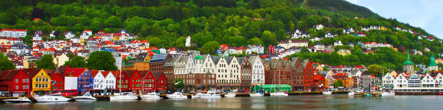 Bergen Norway Harbor Panorama Wallpaper