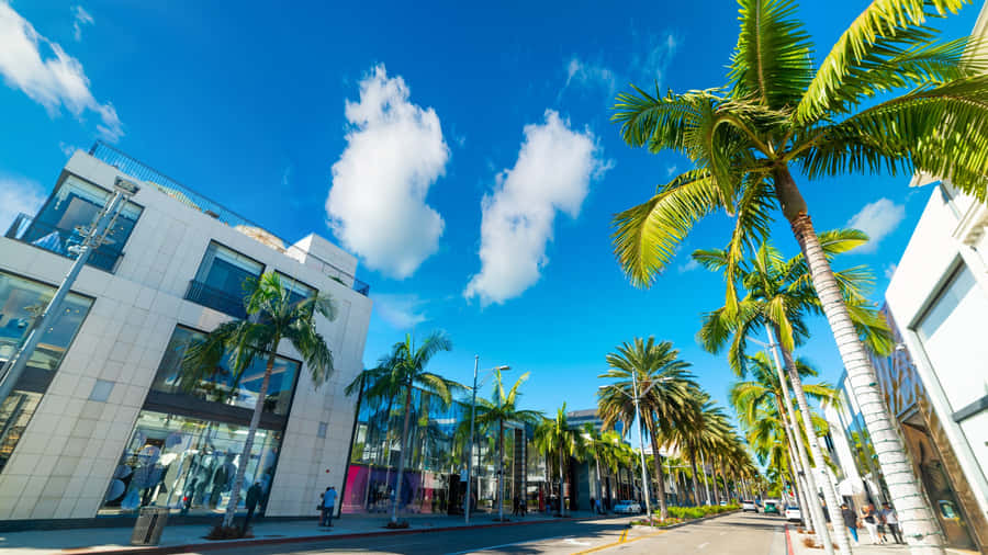 Beverly Hills Rodeo Drive Palm Trees Wallpaper