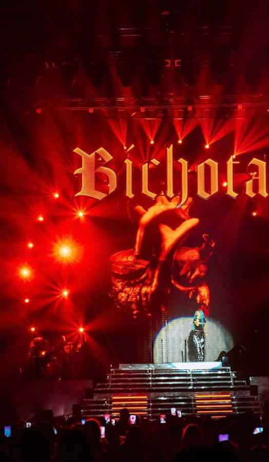 Bichota Concert Stage Lights Wallpaper