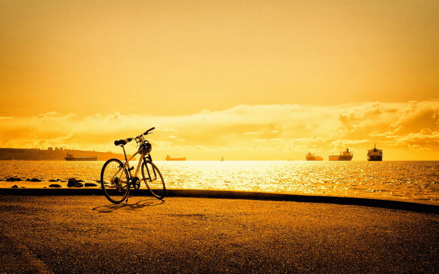 Bicycle On A Golden Seaside Wallpaper