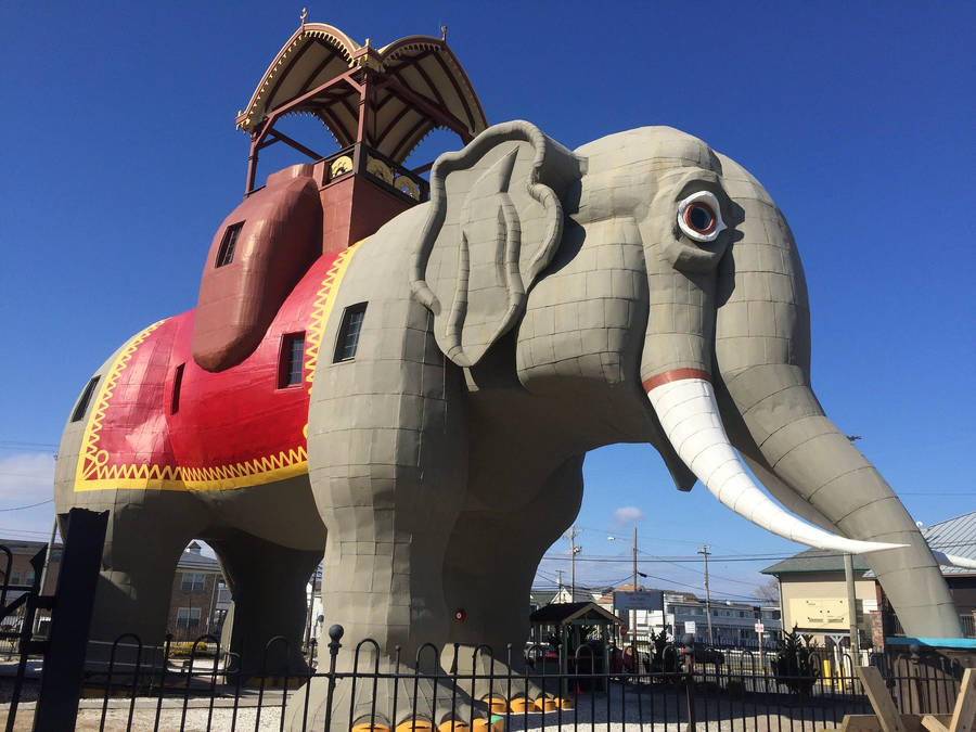 Big Lucy The Elephant Wallpaper